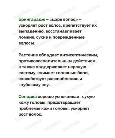 TRICHUP Hair oil Hair Fall Control Oil 2x200ml - Buy Online on GoSupps.com