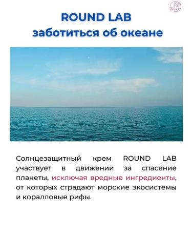 round lab Birch moisturizing sunscreen cream SPF50+PA ++++ - Buy Online on GoSupps.com