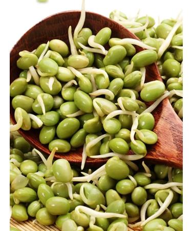 SunGrass Mash Bobs Mung Asian beans - 2 kg - Buy Online on GoSupps.com