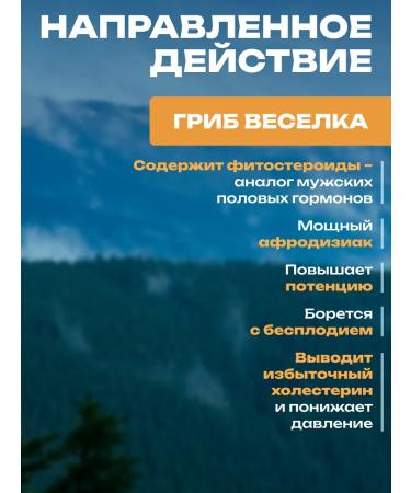 ALFIT For men's health herbal gathering with cordyceps and levzei - Buy Online on GoSupps.com