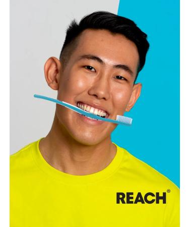 REACH CONTROL TOPLIC BRIED 3pcs in assortment - Buy Online on GoSupps.com