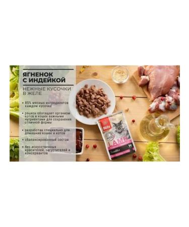 BLITZ Wet food for cats with lamb and turkey pussy - Buy Online on GoSupps.com