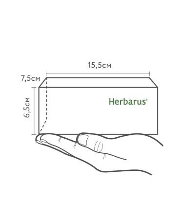 Herbarus Herbal Assorted Tea 24 bags - Buy Online on GoSupps.com