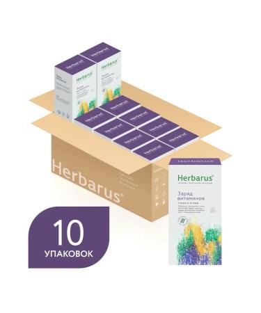 Herbarus Tea drink charge of vitamins 10x24 pcs