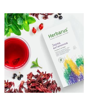Herbarus Tea drink charge of vitamins 10x24 pcs - Buy Online on GoSupps.com