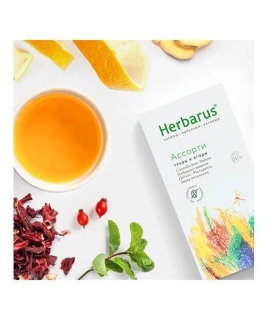 Herbarus Assorted tea drink 10 x 24 pcs - Buy Online on GoSupps.com
