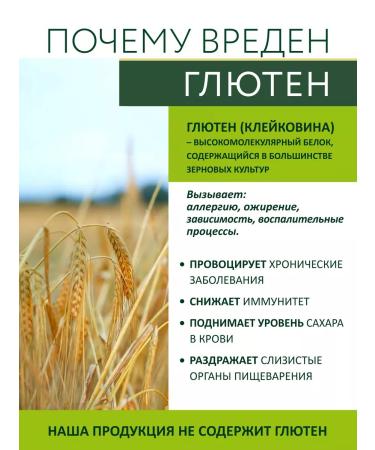 ETONOVO Oatmeal without gluten without sugar 700 g - Buy Online on GoSupps.com