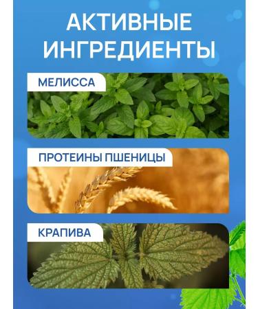 FREEDOM Fatty hair shampoo with a slumber of nettle wheat 430 ml - Buy Online on GoSupps.com