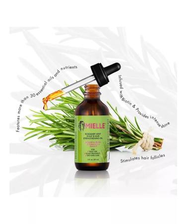 Mielle Organics Rosemary oil for hair growth - Buy Online on GoSupps.com