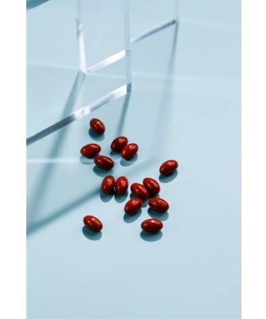 Art Life ACE R-PROTECT Highly efficient anti-distance complex - Buy Online on GoSupps.com