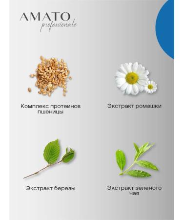 AMATO Capelli Professionale 250  - Buy Online on GoSupps.com