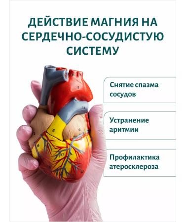 ClamPharm Magnesium + vitamin B6 in capsules (magnesium citrate B6 b6) - Buy Online on GoSupps.com