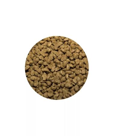 TASTY Dry food for cats with chicken 10 kg - Buy Online on GoSupps.com