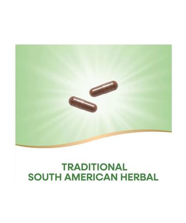Nature's Way With cystitis from candidiasis of dietary supplements for the liver - Buy Online on GoSupps.com