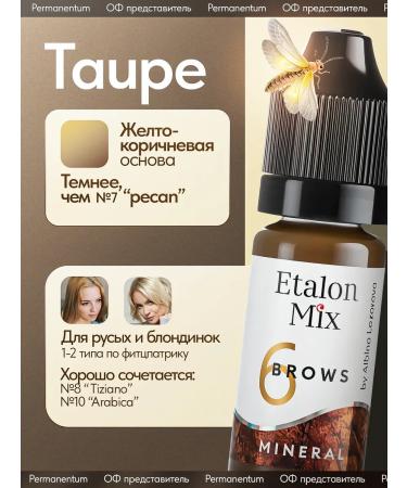 Etalon mix Standard Mix Pigment Mineral No. 6 Taupe - Buy Online on GoSupps.com