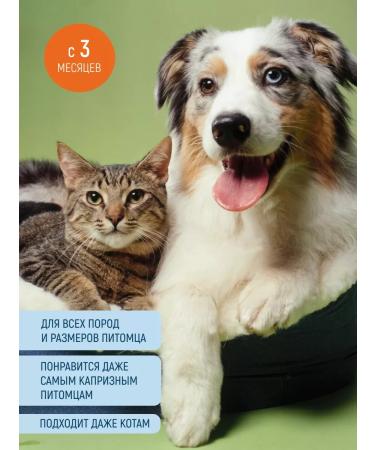 Mixed Treats for Dogs - Buy Online on GoSupps.com