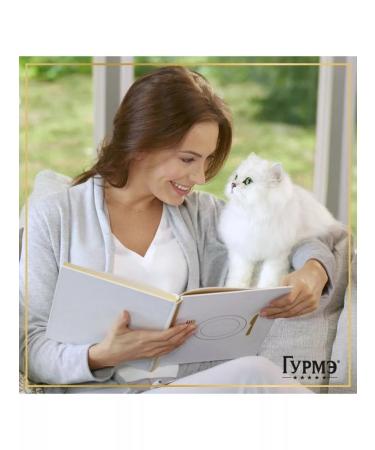 Wet food for cats gourmet with shrimp and salmon - Buy Online on GoSupps.com