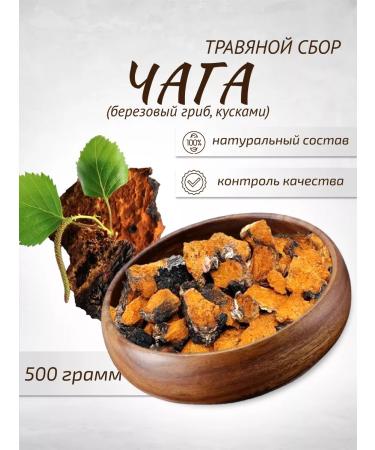 Sage Chaga 500 g birch mushroom in pieces