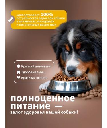 DILLY Dry food for dogs "Star from chicken with rice." 14 kg - Buy Online on GoSupps.com