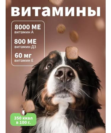 DILLY Dry food for dogs beef goulash 14kg - Buy Online on GoSupps.com