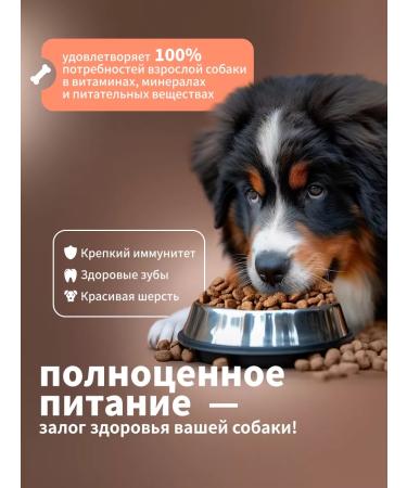 DILLY Dry food for dogs beef liver 3.7 kg - Buy Online on GoSupps.com