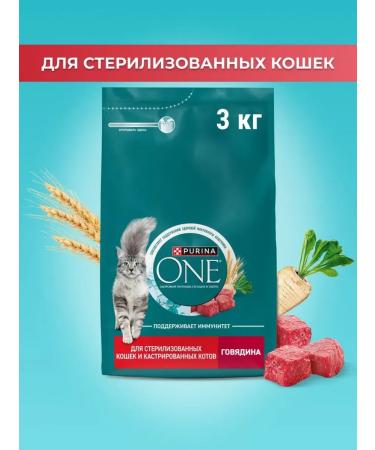 PURINA ONE Dry food for cats with beef and wheat 3 kg - Buy Online on GoSupps.com
