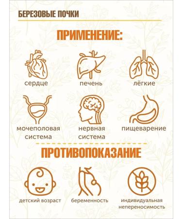 STAROSLAV Birch buds (50 gr.) - Buy Online on GoSupps.com