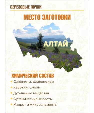 STAROSLAV Birch buds (50 gr.) - Buy Online on GoSupps.com