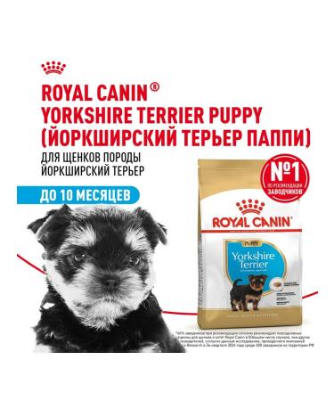 ROYAL CANIN Dry food dry Yorkshire Terrier for puppies 1.5 kg - Buy Online on GoSupps.com