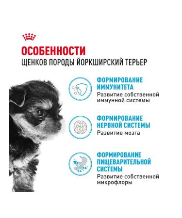 ROYAL CANIN Dry food dry Yorkshire Terrier for puppies 1.5 kg - Buy Online on GoSupps.com