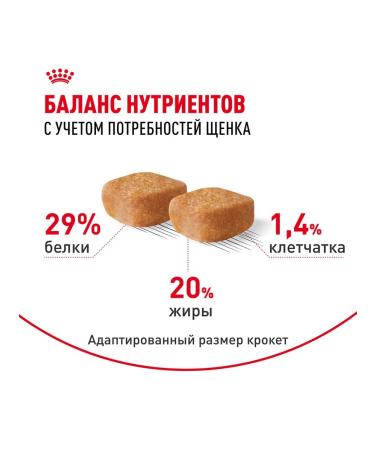 ROYAL CANIN Dry food dry Yorkshire Terrier for puppies 1.5 kg - Buy Online on GoSupps.com