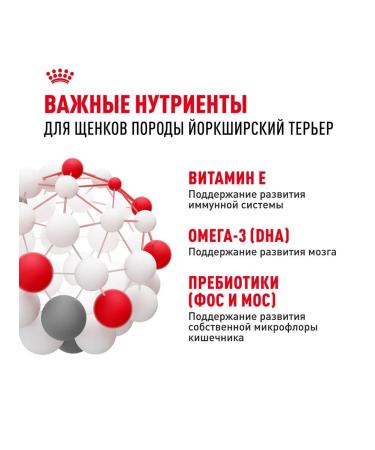 ROYAL CANIN Dry food dry Yorkshire Terrier for puppies 1.5 kg - Buy Online on GoSupps.com