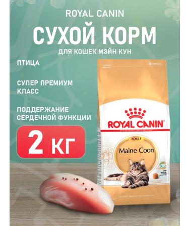ROYAL CANIN Dry Main Coon Feed for Cats Main Kun 2 kg