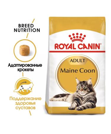 ROYAL CANIN Dry Main Coon Feed for Cats Main Kun 2 kg - Buy Online on GoSupps.com