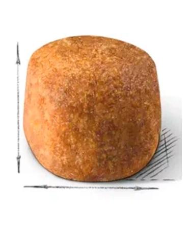 ROYAL CANIN Dry Main Coon Feed for Cats Main Kun 2 kg - Buy Online on GoSupps.com