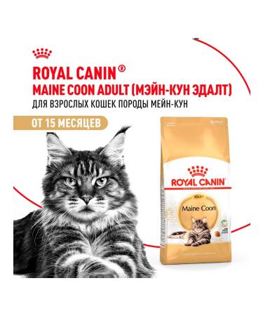 ROYAL CANIN Dry Main Coon Feed for Cats Main Kun 2 kg - Buy Online on GoSupps.com
