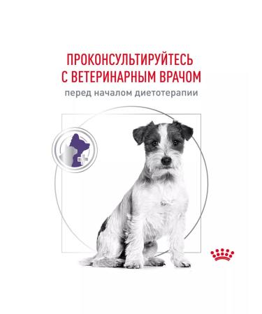 ROYAL CANIN Dry neuthed sterilized small dogs 0.8 kg - Buy Online on GoSupps.com