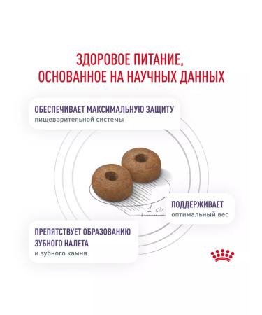 ROYAL CANIN Dry neuthed sterilized small dogs 0.8 kg - Buy Online on GoSupps.com