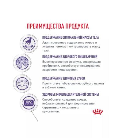 ROYAL CANIN Dry neuthed sterilized small dogs 0.8 kg - Buy Online on GoSupps.com