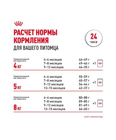 ROYAL CANIN Main Coon Kitten 36 food for kittens Mayn Kun 4 kg - Buy Online on GoSupps.com