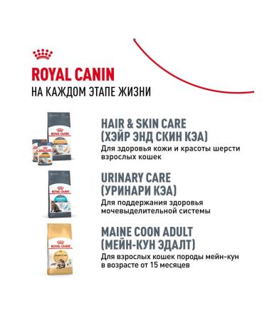 ROYAL CANIN Main Coon Kitten 36 food for kittens Mayn Kun 4 kg - Buy Online on GoSupps.com