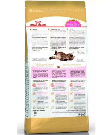 ROYAL CANIN Main Coon Kitten 36 food for kittens Mayn Kun 4 kg - Buy Online on GoSupps.com