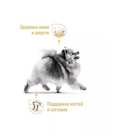 ROYAL CANIN Dry pomeranian food for dogs Pomeranian spitz 0.5 kg - Buy Online on GoSupps.com