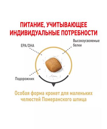 ROYAL CANIN Dry pomeranian food for dogs Pomeranian spitz 0.5 kg - Buy Online on GoSupps.com