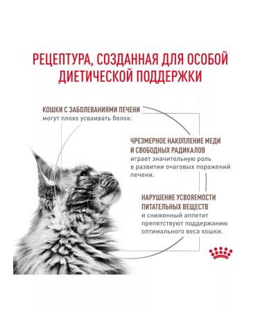 ROYAL CANIN Dry Hepatic HF26 food for cats hepatic 2 kg - Buy Online on GoSupps.com