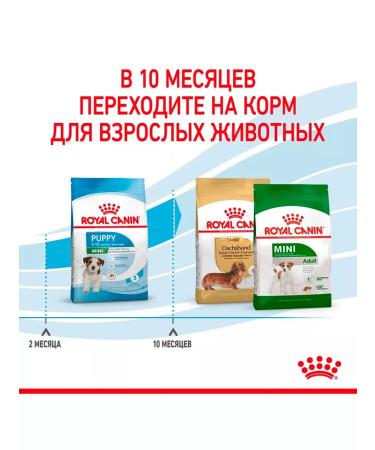 ROYAL CANIN Dry Mini Puppy food for small puppies 0.8 kg - Buy Online on GoSupps.com