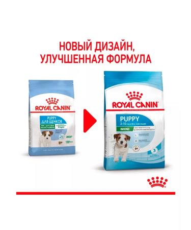 ROYAL CANIN Dry Mini Puppy food for small puppies 0.8 kg - Buy Online on GoSupps.com