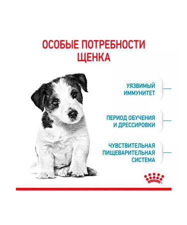 ROYAL CANIN Dry Mini Puppy food for small puppies 0.8 kg - Buy Online on GoSupps.com