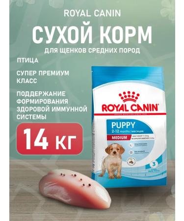 ROYAL CANIN Dog food dry Medium Puppy for medium rocks 14 kg