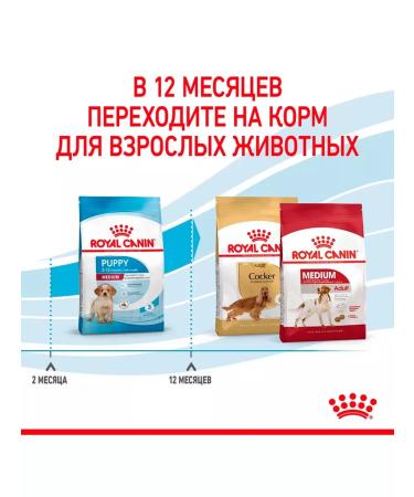 ROYAL CANIN Dog food dry Medium Puppy for medium rocks 14 kg - Buy Online on GoSupps.com